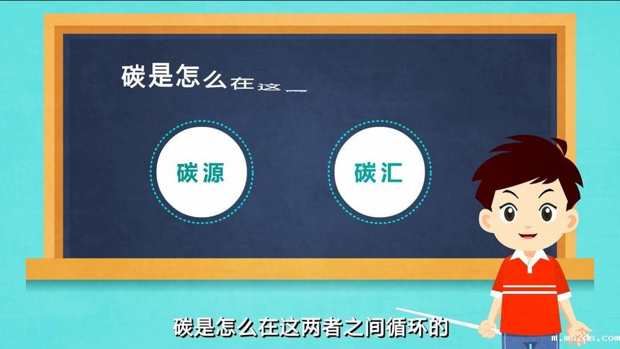 碳源的作用(什么是复合碳源)