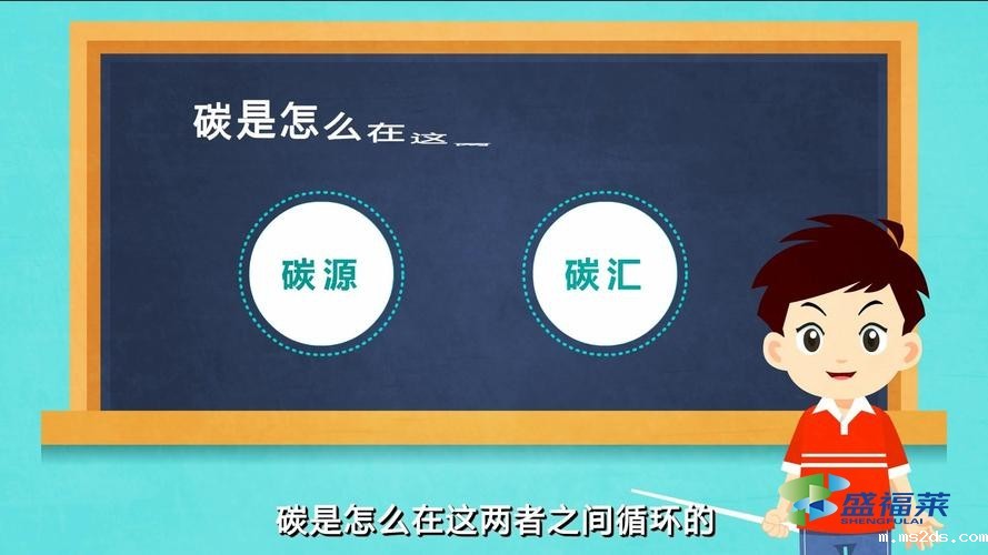 如何选择合适的碳源(碳源的选择方法)