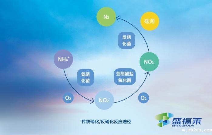 复合碳源优于传统碳源的理由是什么?(复合碳源在污水处理中的作用)