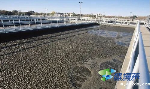 韦德国际bv1946有毒吗