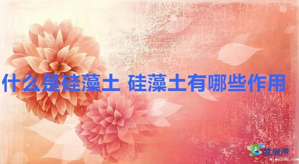 什么是硅藻土 硅藻土有哪些作用