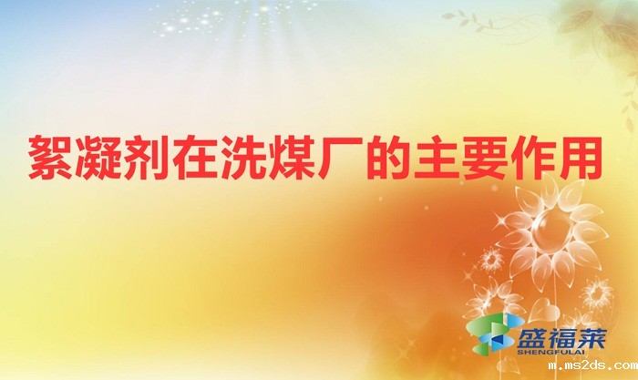 絮凝剂在洗煤厂的主要作用（洗煤专用絮凝剂）
