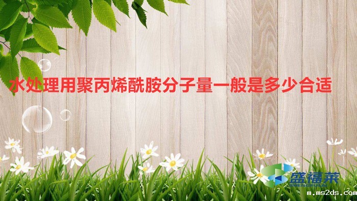 水处理用聚丙烯酰胺分子量一般是多少合适