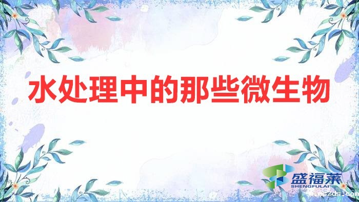 水处理中的那些微生物(污水处理中的微生物分类)