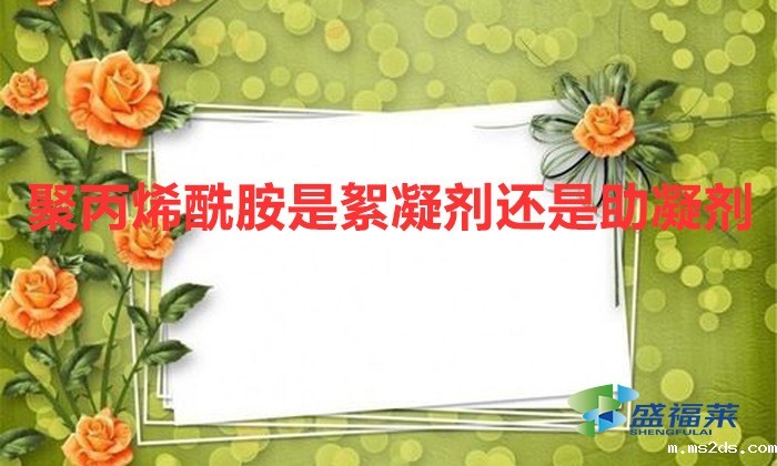 聚丙烯酰胺是絮凝剂还是助凝剂(聚丙烯酰胺是助凝剂吗)