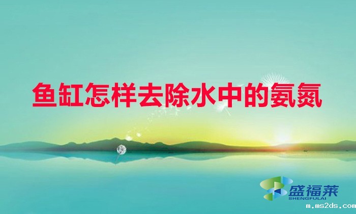 鱼缸怎样去除水中的氨氮(鱼缸除氨氮的方法)