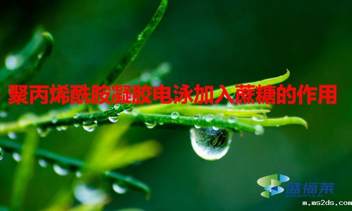 聚丙烯酰胺凝胶电泳加入蔗糖的作用(聚丙烯酰胺凝胶电泳加入蔗糖原理)