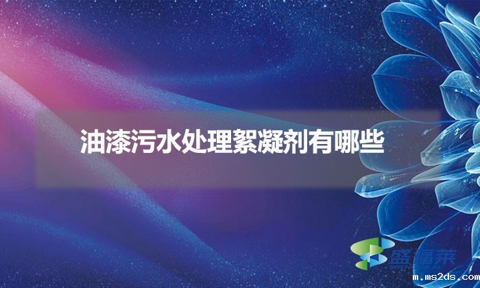 油漆污水处理絮凝剂有哪些(油漆污水用什么药剂)
