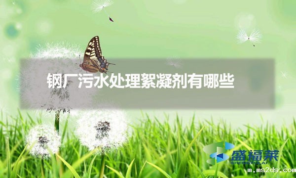 钢厂污水处理絮凝剂有哪些(钢厂污水用什么絮凝剂)