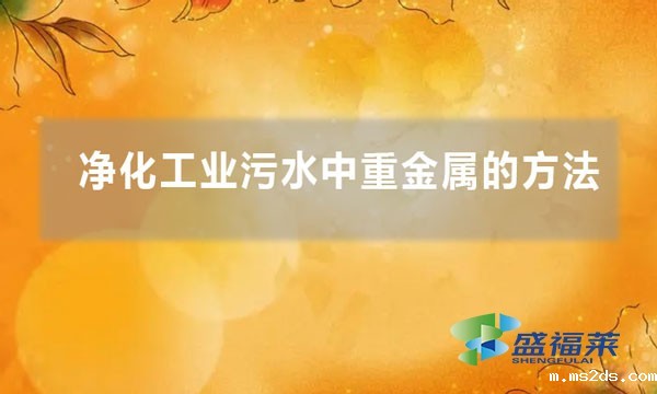 净化工业污水中重金属的方法(如何剥离污水中的重金属)