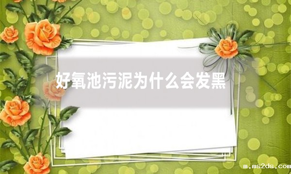 好氧池污泥为什么会发黑?原因及解决办法