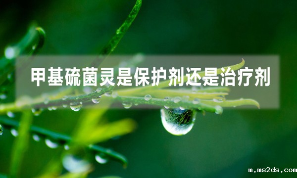 甲基硫菌灵是保护剂还是治疗剂