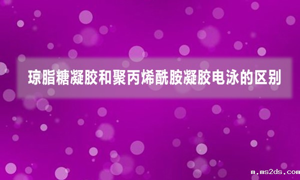 琼脂糖凝胶和聚丙烯酰胺凝胶电泳的区别