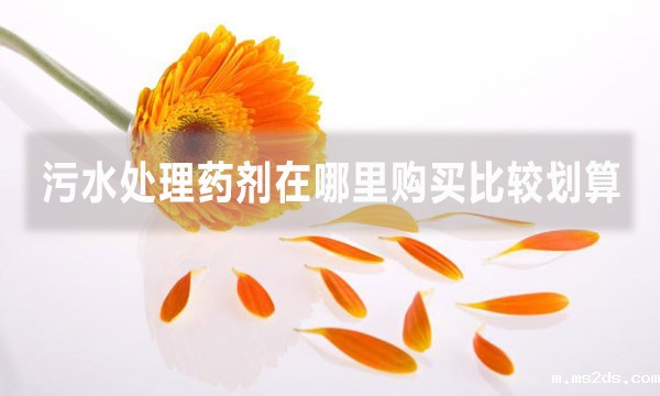 韦德国际bv1946在哪里购买比较划算