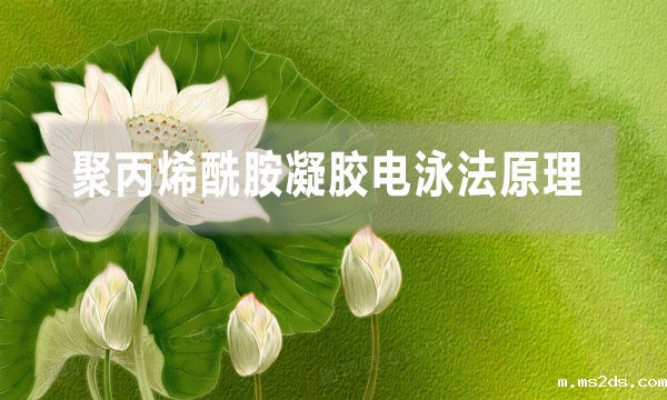 聚丙烯酰胺凝胶电泳法原理