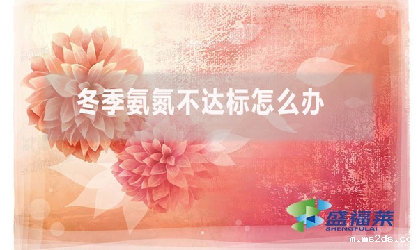 冬季氨氮不达标怎么办?