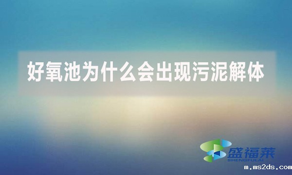 好氧池为什么会出现污泥解体?上清液细碎污泥多是怎么回事?