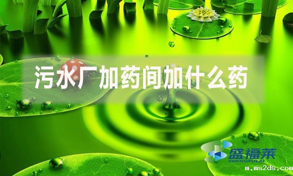 污水厂加药间加什么药？