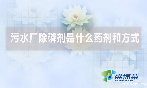 污水厂除磷剂是什么药剂和方式？