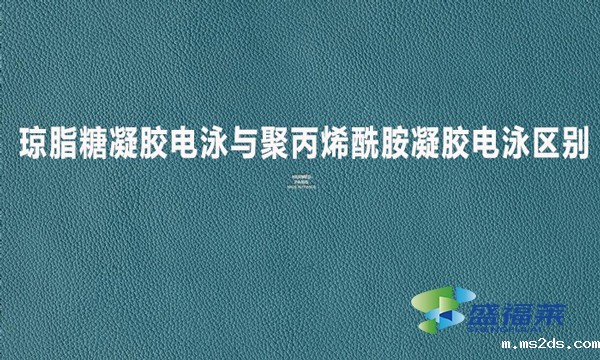 琼脂糖凝胶电泳与聚丙烯酰胺凝胶电泳区别?