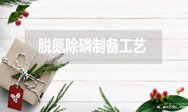 污水处理脱氮除磷制备工艺流程