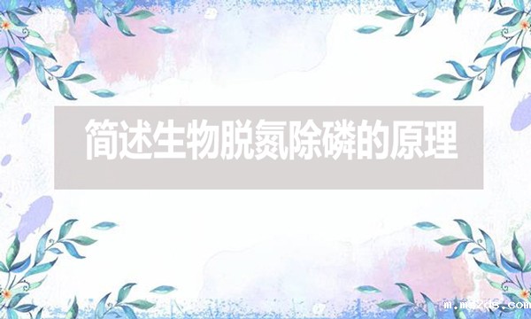 简述生物脱氮除磷的原理