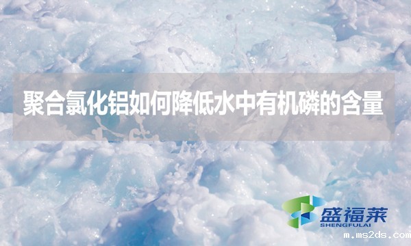 聚合氯化铝如何降低水中有机磷的含量?