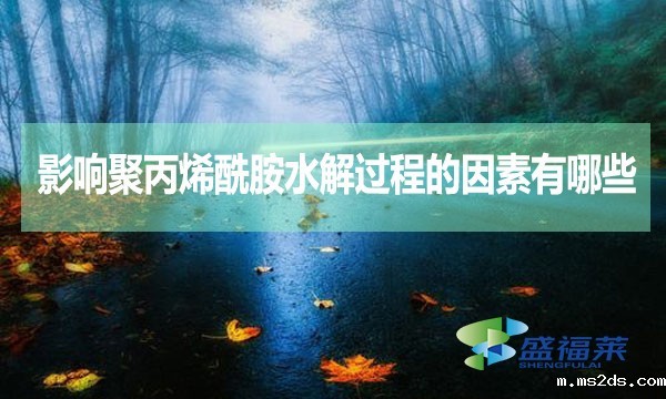 影响聚丙烯酰胺水解过程的因素有哪些?