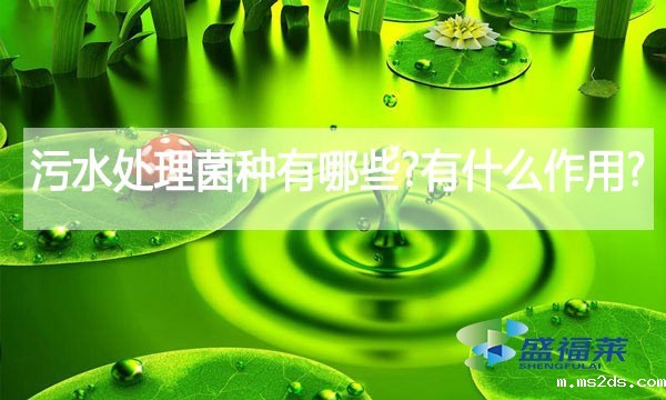 污水处理菌种有哪些?有什么作用?