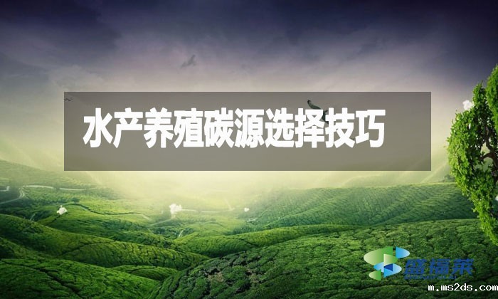 水产养殖碳源选择技巧：提升效益与可持续性的关键