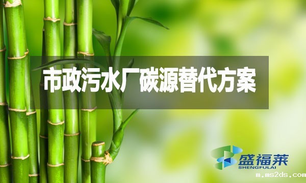 市政污水厂碳源替代方案