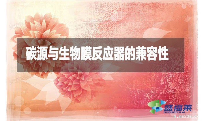 碳源与生物膜反应器的兼容性